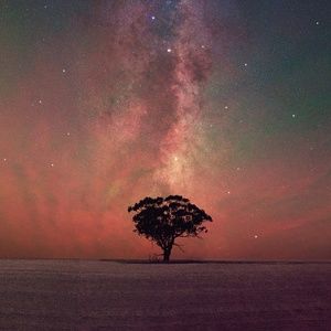 Meet your Posher, Bilal